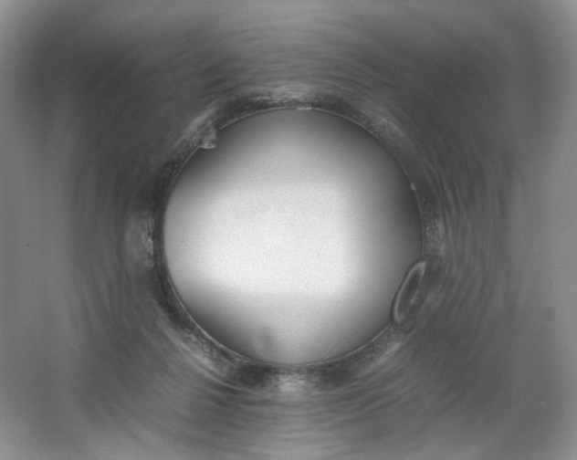 X0000064040264200602101432