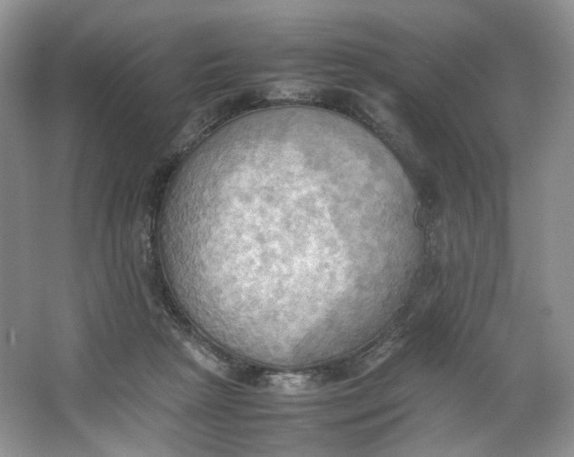 X0000064040265200602101432