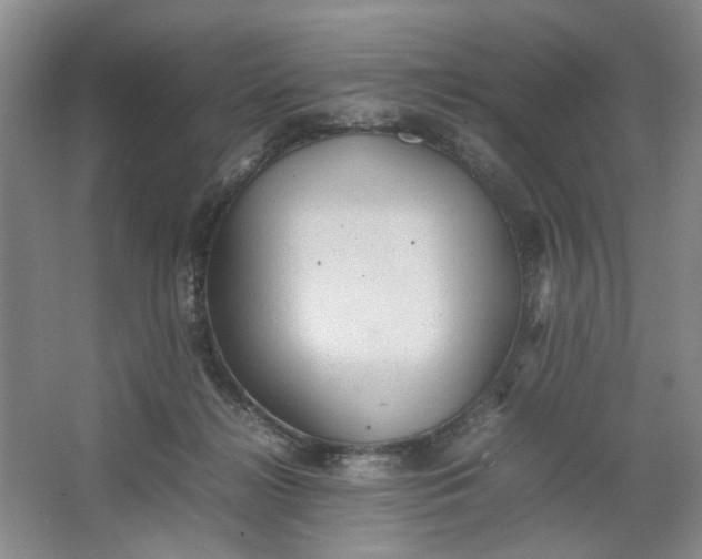 X0000064040268200602101432