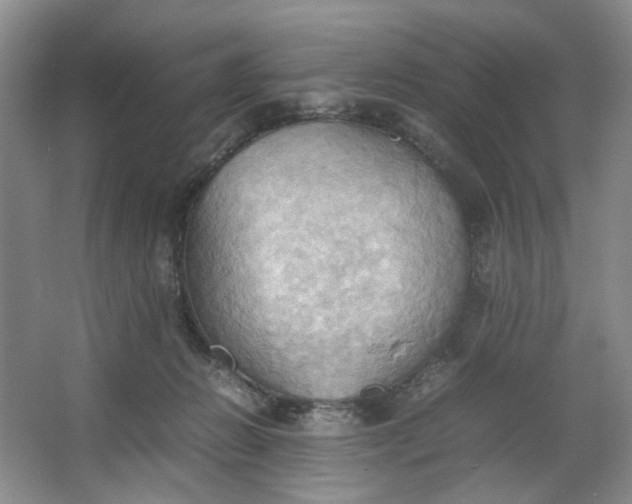 X0000064040270200602101432