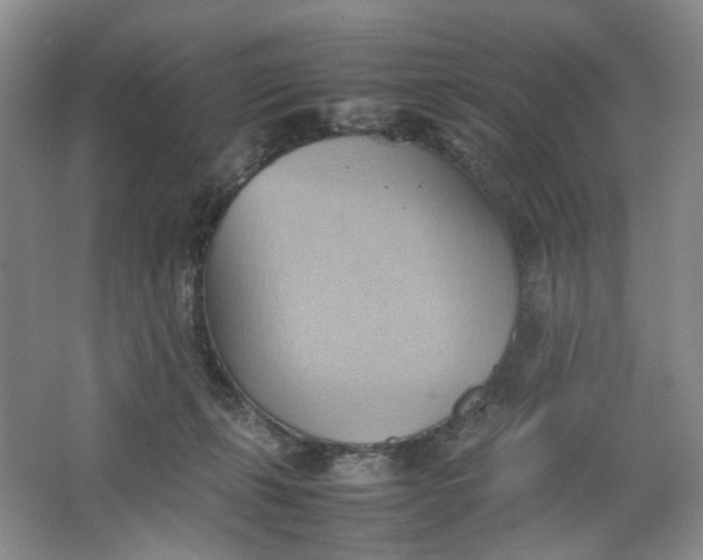 X0000064040271200602101432