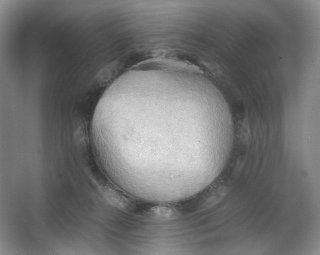 X0000064040272200602101432