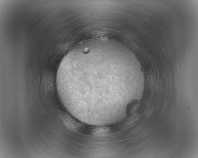 X0000064040274200602101432