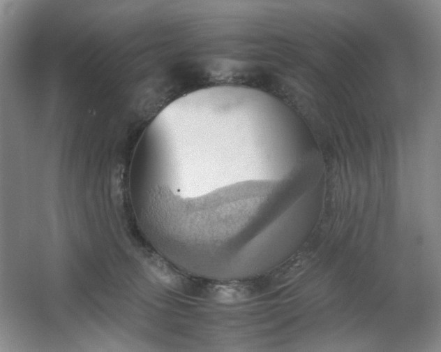 X0000064040275200602101432