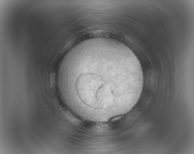 X0000064040278200602101432