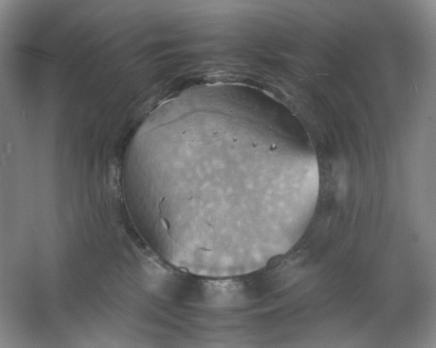 X0000064040281200602101432