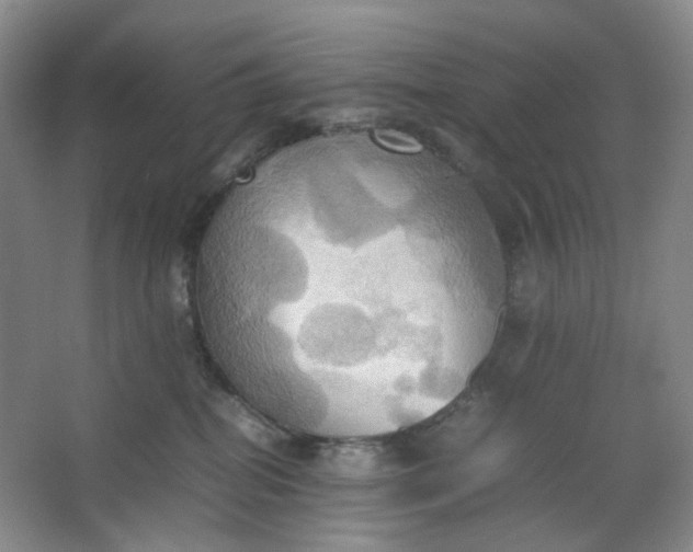 X0000064040282200602101432