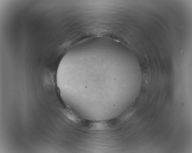 X0000064040286200602101432