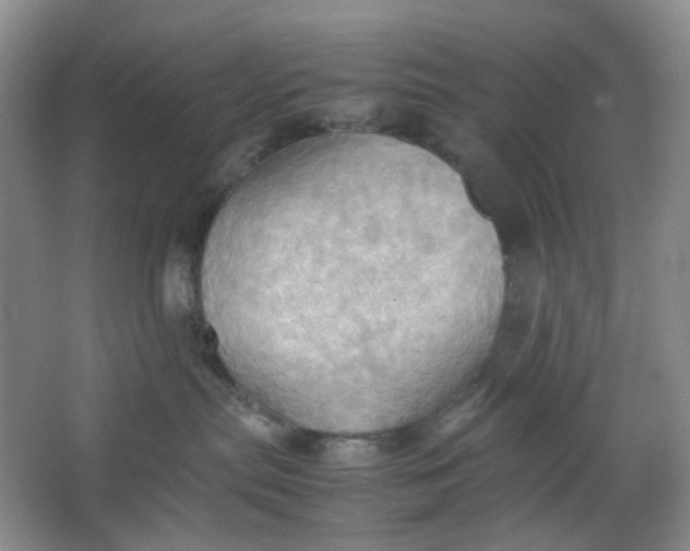 X0000064040287200602101432