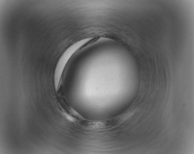 X0000064040288200602101432