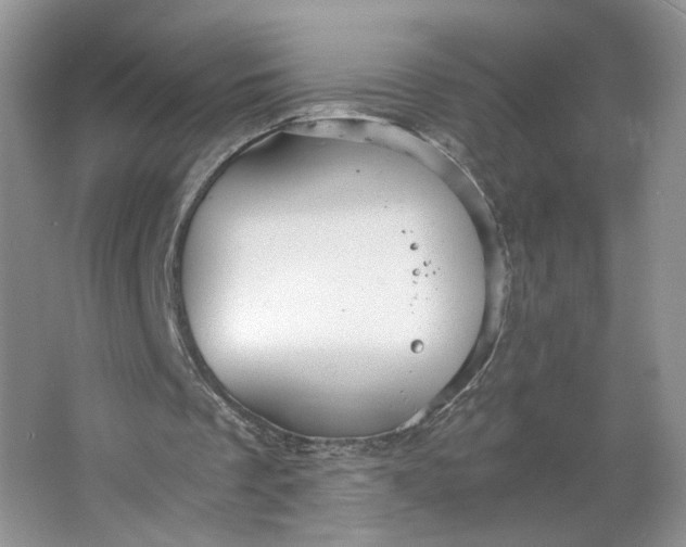 X0000064040289200602101432