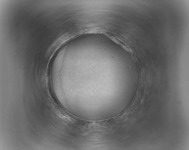 X0000064040290200602101432