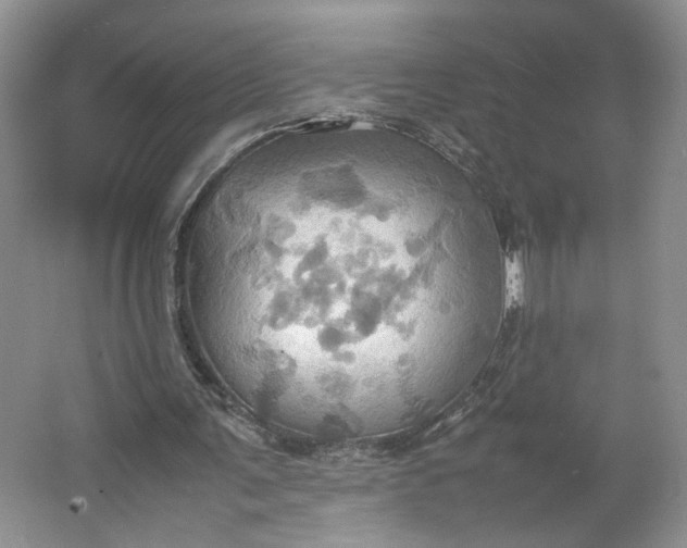 X0000064040291200602101432