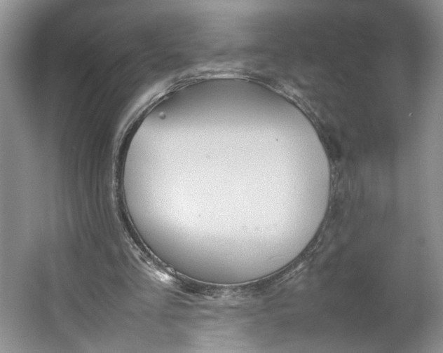 X0000064040293200602101432