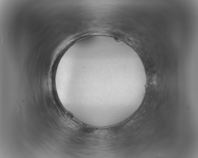 X0000064040294200602101432