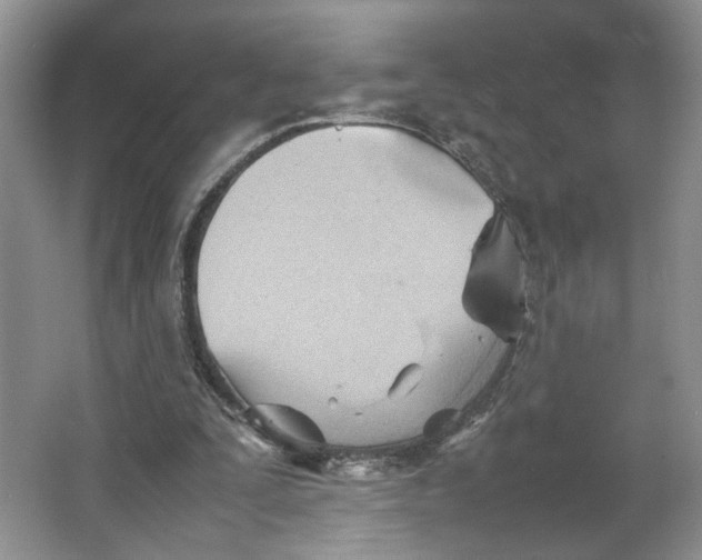 X0000064040295200602101432