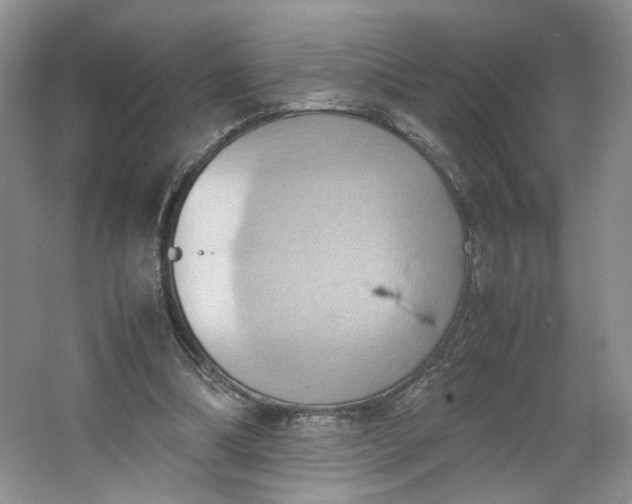 X0000064040298200602101432