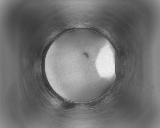 X0000064040299200602101432