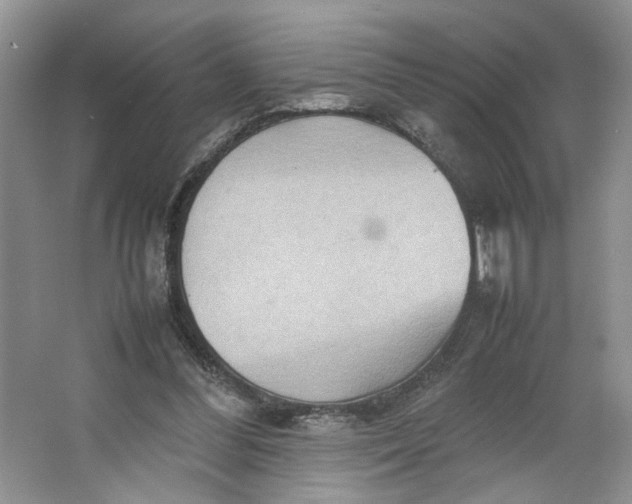 X0000064040300200602101431