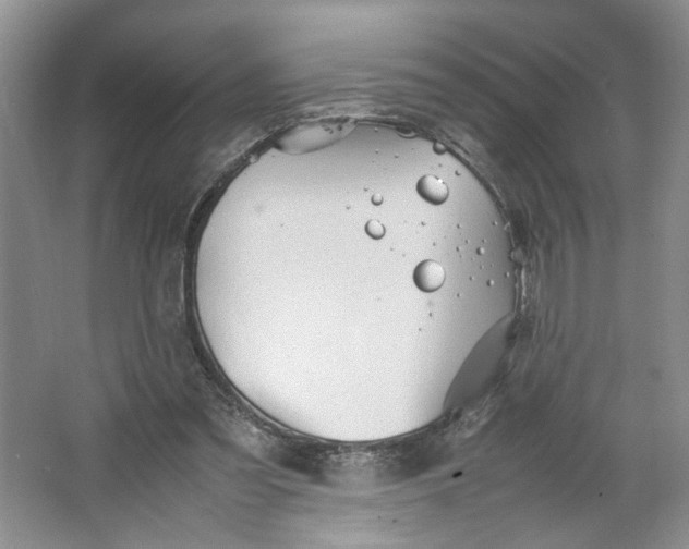 X0000064040301200602101431