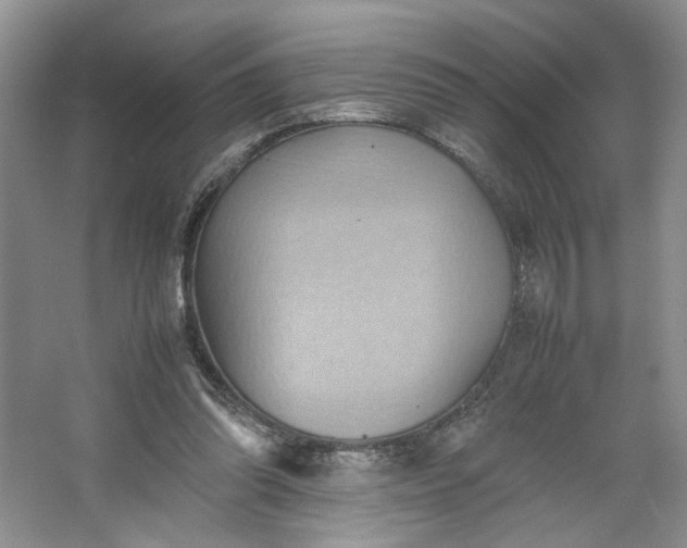 X0000064040302200602101431