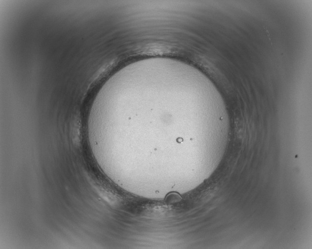 X0000064040304200602101431