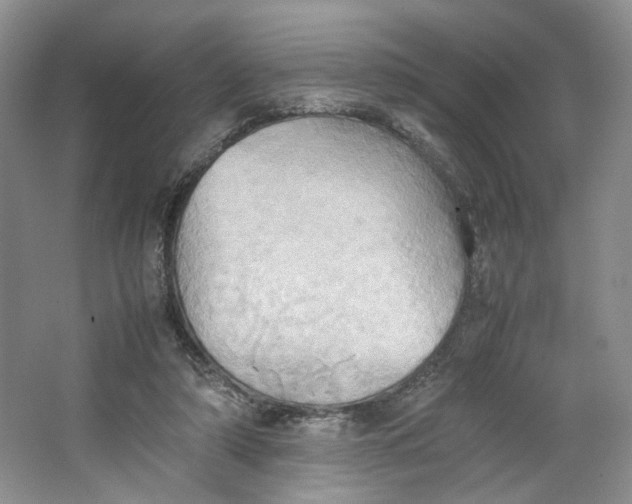 X0000064040306200602101431