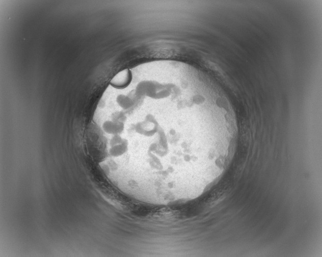 X0000064040307200602101431