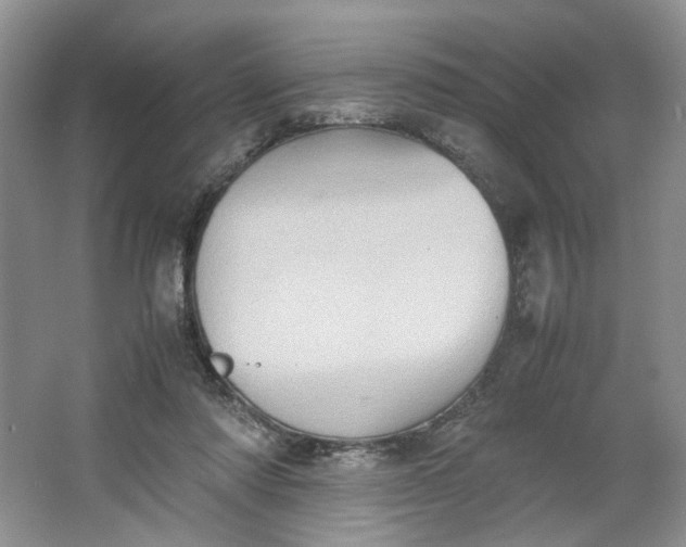 X0000064040310200602101431