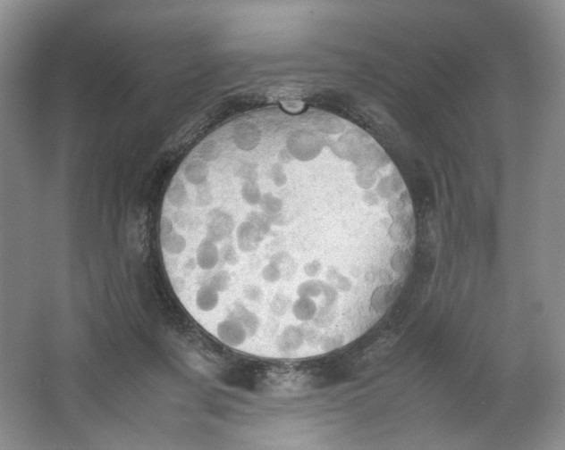 X0000064040311200602101431