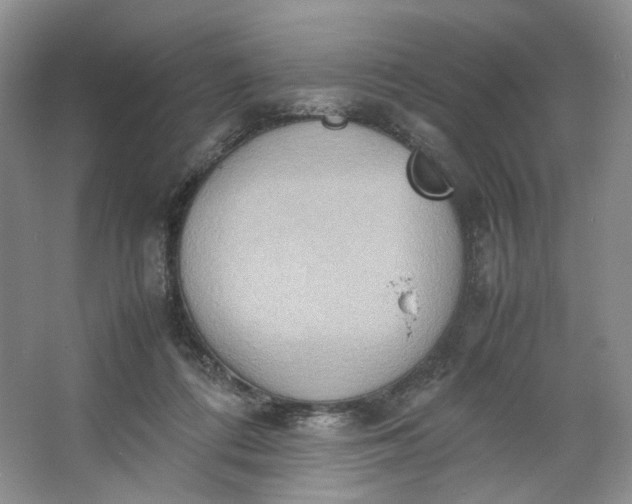 X0000064040312200602101431