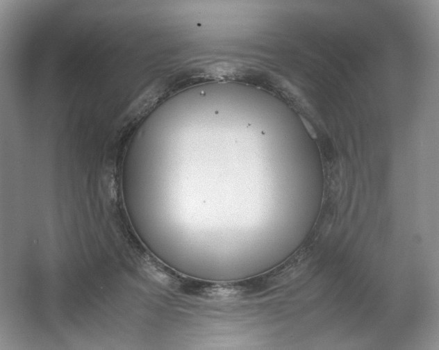 X0000064040313200602101431