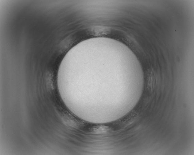 X0000064040316200602101431