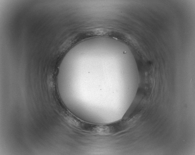 X0000064040317200602101431