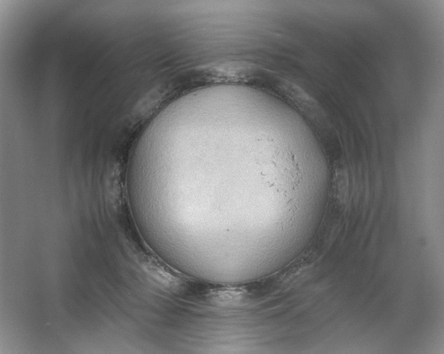 X0000064040318200602101431