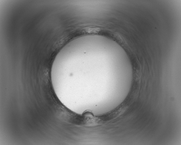 X0000064040321200602101431