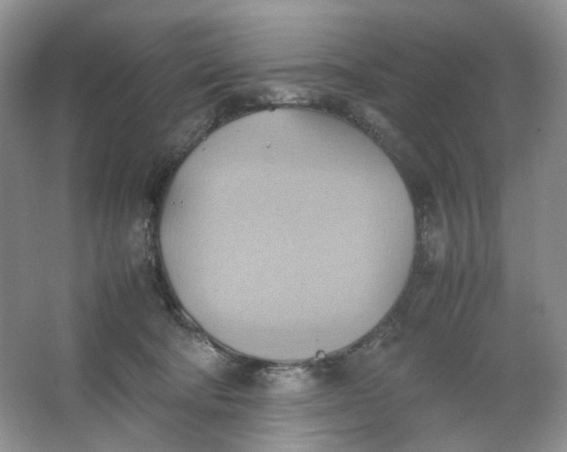 X0000064040322200602101431