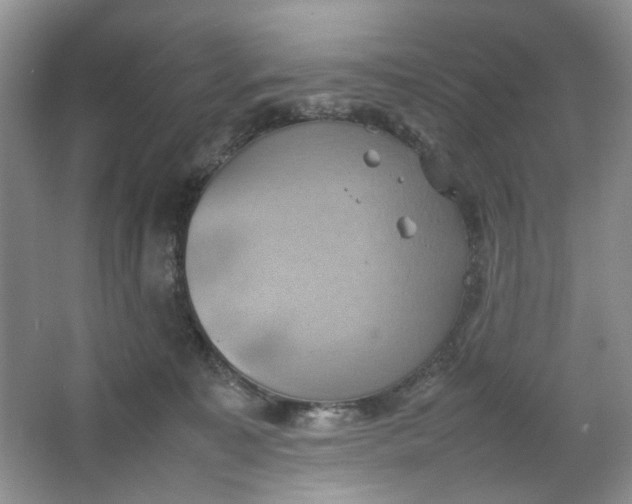 X0000064040323200602101431