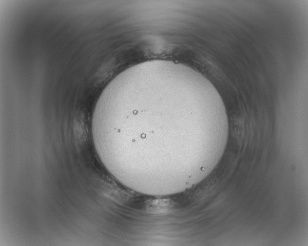 X0000064040324200602101431