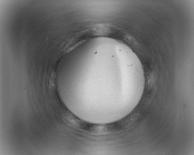 X0000064040325200602101431