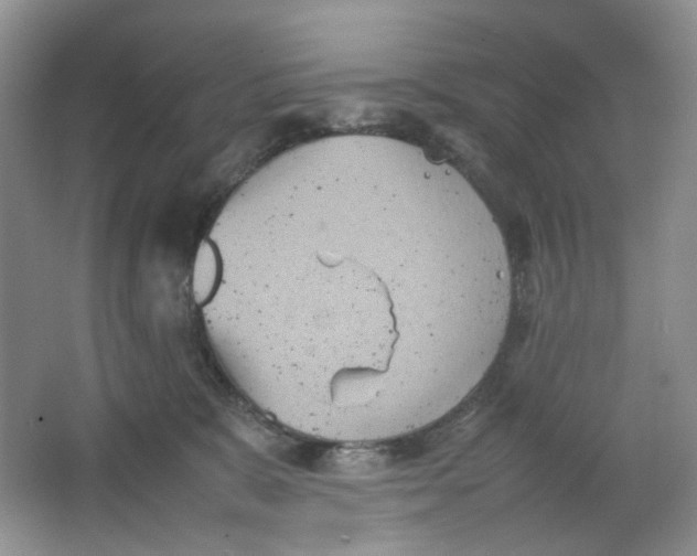 X0000064040327200602101431