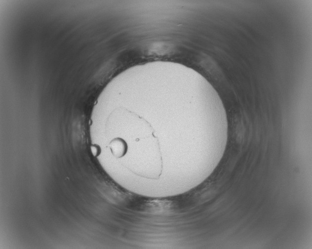 X0000064040328200602101431