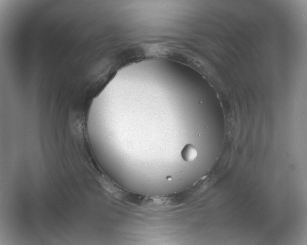 X0000064040329200602101431