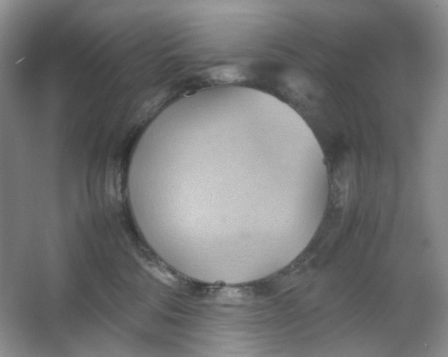 X0000064040330200602101431