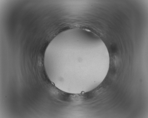 X0000064040331200602101431