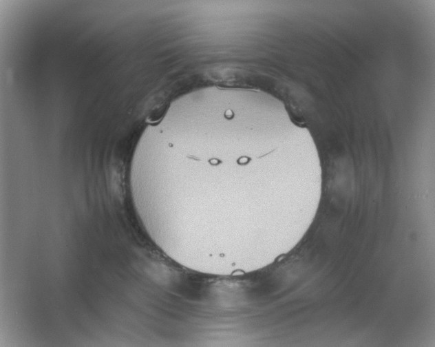 X0000064040332200602101431