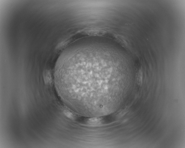 X0000064040335200602101431