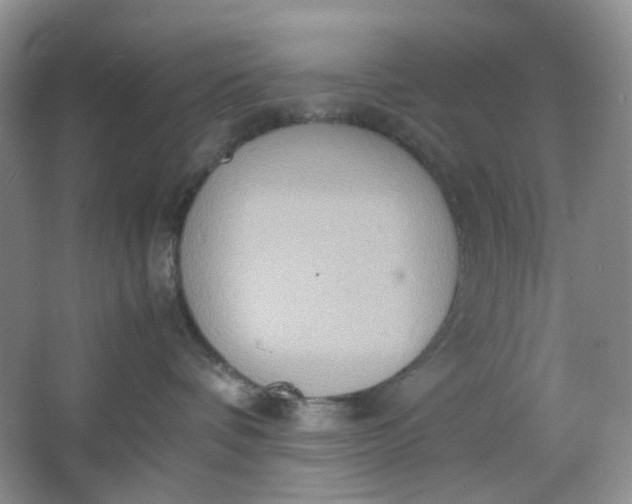 X0000064040336200602101431