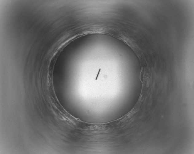 X0000064040338200602101430