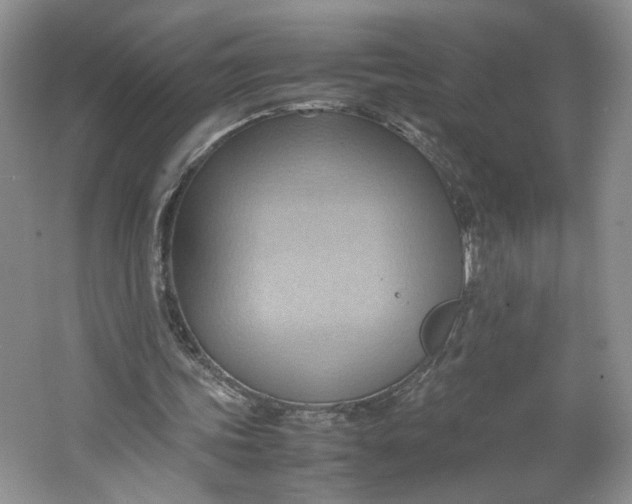 X0000064040339200602101430